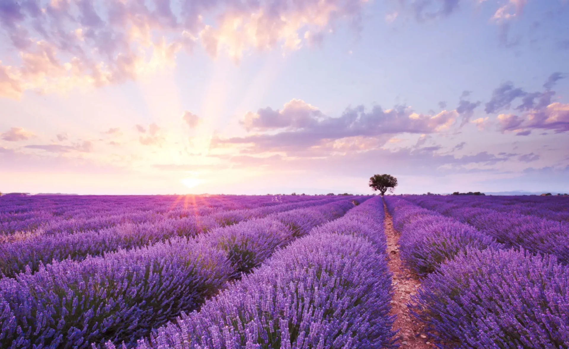 <span style="color: #0000EE;">THE BEAUTIFUL TOUR</span> PROVENCE/MARSEILLE/LES CALANQUES/LE VIEUX PORT/AVIGNON/ L’ISLE SUR LA SORGUE/ GORDES/ SAINT REMY/ FONTAINE DE VAUCLUSE/ /PERNES LES FONTAINES/ LES BAUX DE PROVENCE/ NIMES/ARLES/ROMAN PROVENCE/LE PONT DU GARD/NARBONNE/CARCASSONNE/ SAGRADA FAMILIA/ BARCELONA <span class="cust-title"> (April 17th – April 28th, 2027……..CLEVELAND RADIO PERSONALITY JAKE UNDERWOOD WILL BE JOINING THIS TOUR EVENT)</span>